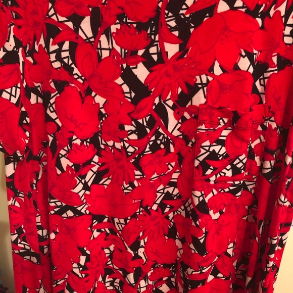 LulaRoe Carly Dress - Picture 3 of 4